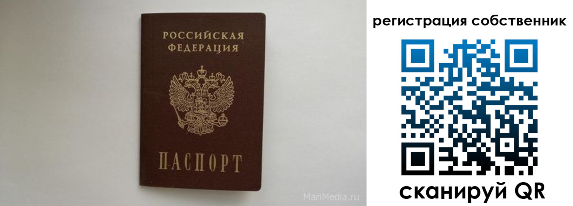 прописка паспорт в Ельне